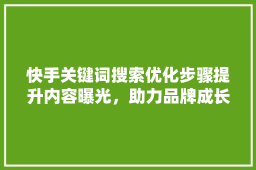 快手关键词搜索优化步骤提升内容曝光，助力品牌成长