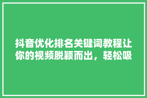 抖音优化排名关键词教程让你的视频脱颖而出，轻松吸引海量粉丝