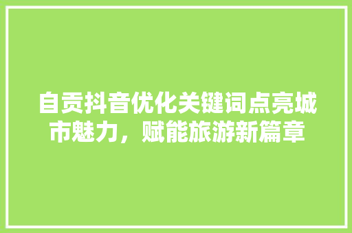 自贡抖音优化关键词点亮城市魅力，赋能旅游新篇章