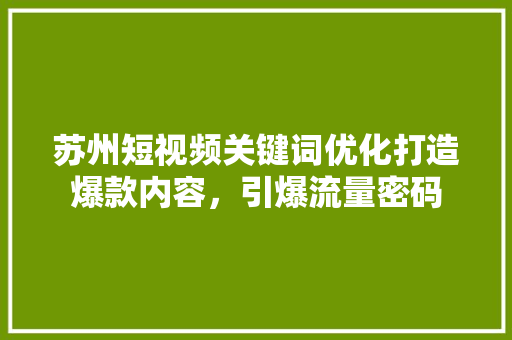 苏州短视频关键词优化打造爆款内容，引爆流量密码