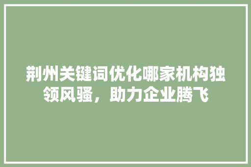 荆州关键词优化哪家机构独领风骚，助力企业腾飞