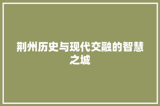 荆州历史与现代交融的智慧之城