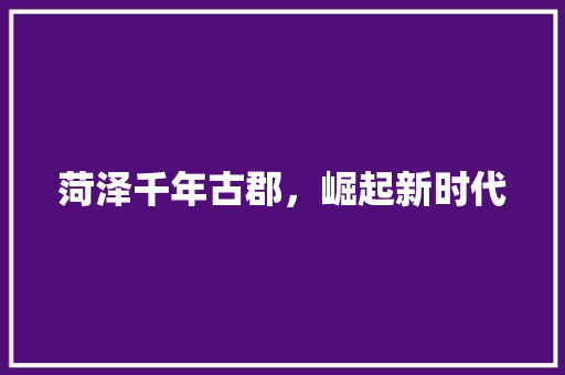 菏泽千年古郡，崛起新时代