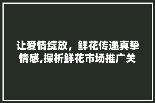 让爱情绽放，鲜花传递真挚情感,探析鲜花市场推广关键词优化步骤