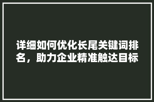 详细如何优化长尾关键词排名，助力企业精准触达目标客户