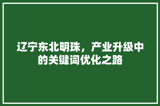 辽宁东北明珠，产业升级中的关键词优化之路