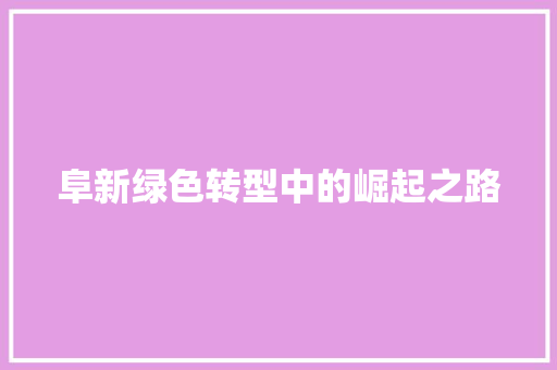 阜新绿色转型中的崛起之路