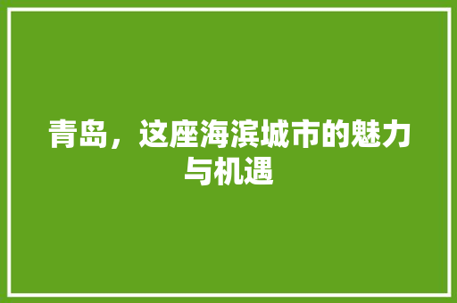 青岛，这座海滨城市的魅力与机遇
