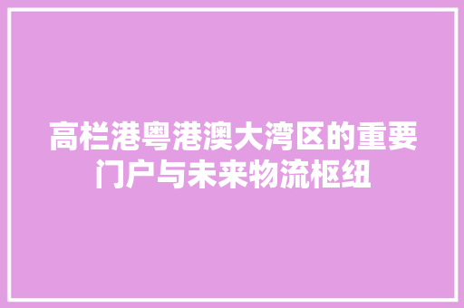 高栏港粤港澳大湾区的重要门户与未来物流枢纽