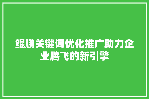 鲲鹏关键词优化推广助力企业腾飞的新引擎
