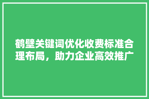 鹤壁关键词优化收费标准合理布局，助力企业高效推广