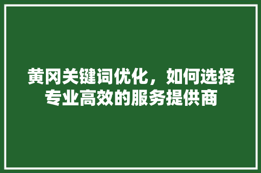 黄冈关键词优化，如何选择专业高效的服务提供商