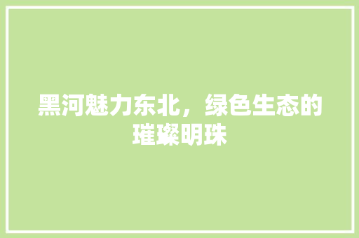 黑河魅力东北，绿色生态的璀璨明珠
