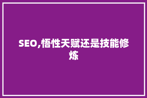SEO,悟性天赋还是技能修炼