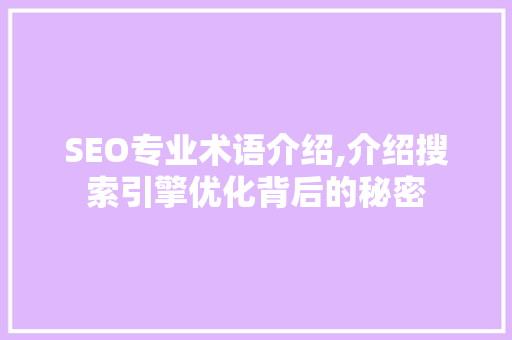 SEO专业术语介绍,介绍搜索引擎优化背后的秘密