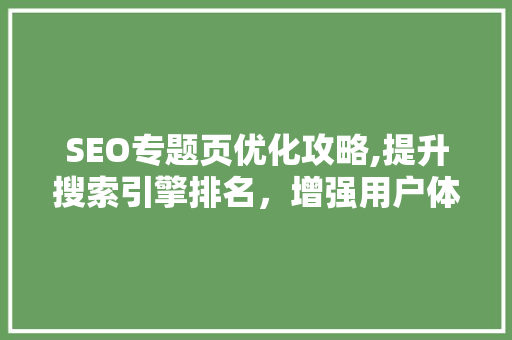 SEO专题页优化攻略,提升搜索引擎排名，增强用户体验
