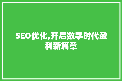 SEO优化,开启数字时代盈利新篇章