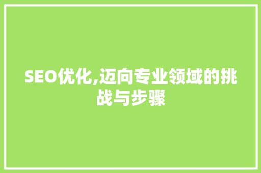 SEO优化,迈向专业领域的挑战与步骤