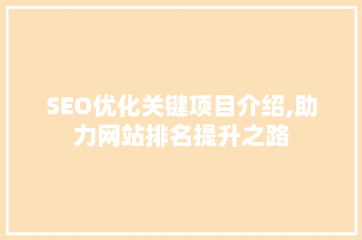 SEO优化关键项目介绍,助力网站排名提升之路