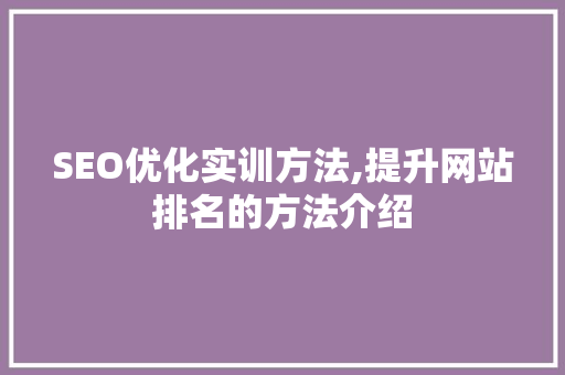 SEO优化实训方法,提升网站排名的方法介绍