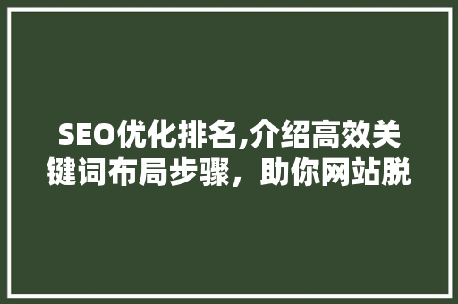SEO优化排名,介绍高效关键词布局步骤，助你网站脱颖而出