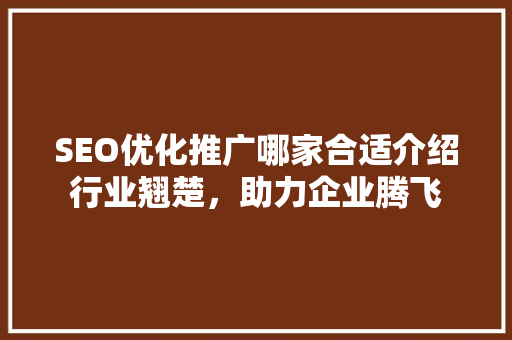 SEO优化推广哪家合适介绍行业翘楚，助力企业腾飞