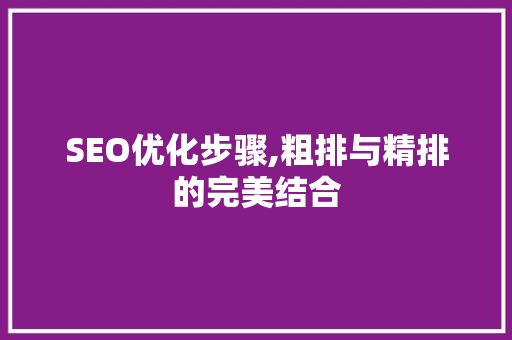 SEO优化步骤,粗排与精排的完美结合