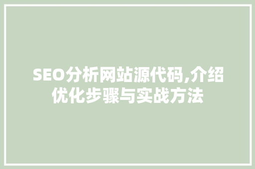 SEO分析网站源代码,介绍优化步骤与实战方法