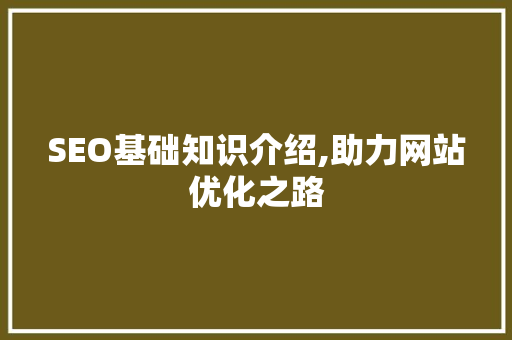 SEO基础知识介绍,助力网站优化之路