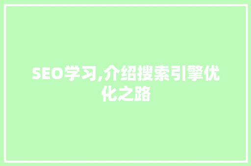 SEO学习,介绍搜索引擎优化之路