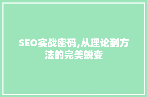 SEO实战密码,从理论到方法的完美蜕变
