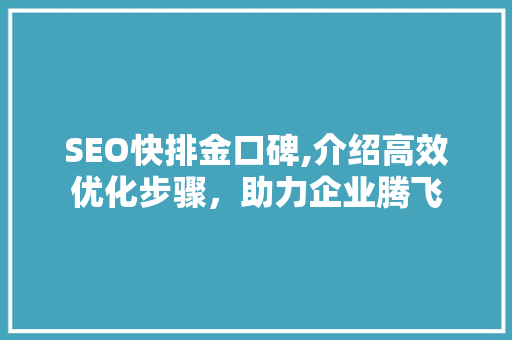 SEO快排金口碑,介绍高效优化步骤，助力企业腾飞