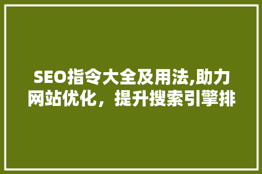 SEO指令大全及用法,助力网站优化，提升搜索引擎排名