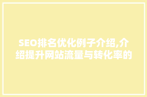 SEO排名优化例子介绍,介绍提升网站流量与转化率的方法