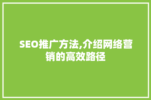 SEO推广方法,介绍网络营销的高效路径