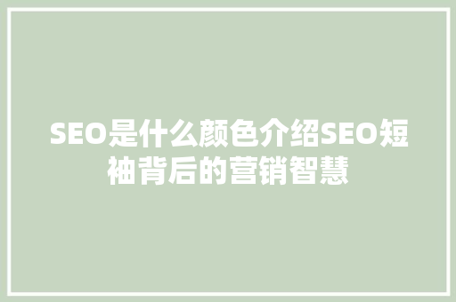 SEO是什么颜色介绍SEO短袖背后的营销智慧