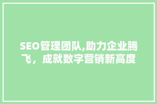 SEO管理团队,助力企业腾飞，成就数字营销新高度