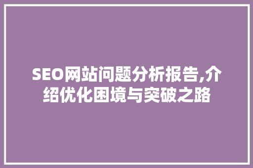 SEO网站问题分析报告,介绍优化困境与突破之路