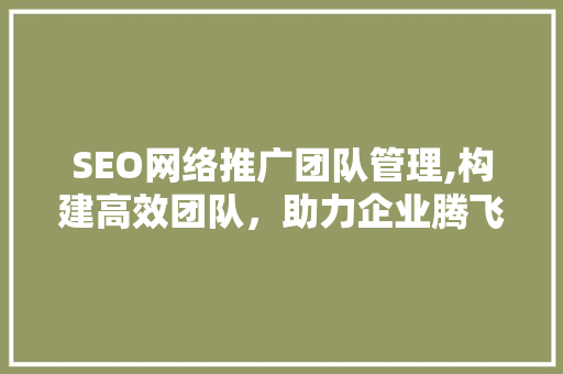 SEO网络推广团队管理,构建高效团队，助力企业腾飞