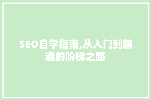 SEO自学指南,从入门到精通的阶梯之路