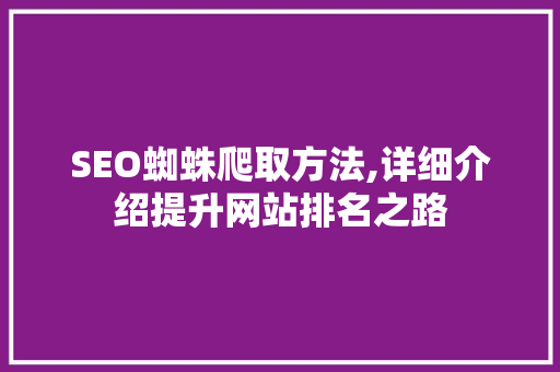 SEO蜘蛛爬取方法,详细介绍提升网站排名之路