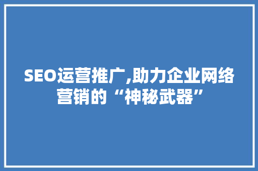 SEO运营推广,助力企业网络营销的“神秘武器”
