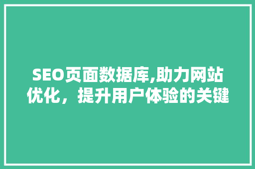 SEO页面数据库,助力网站优化，提升用户体验的关键