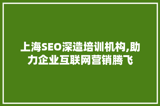 上海SEO深造培训机构,助力企业互联网营销腾飞