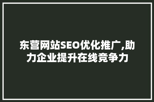 东营网站SEO优化推广,助力企业提升在线竞争力