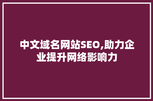 中文域名网站SEO,助力企业提升网络影响力