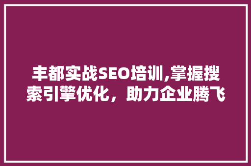 丰都实战SEO培训,掌握搜索引擎优化，助力企业腾飞