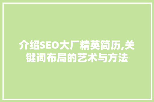 介绍SEO大厂精英简历,关键词布局的艺术与方法