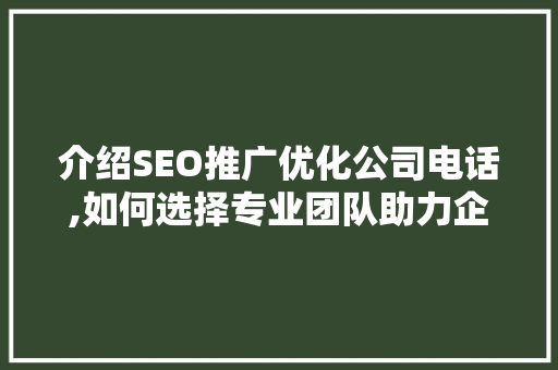 介绍SEO推广优化公司电话,如何选择专业团队助力企业腾飞