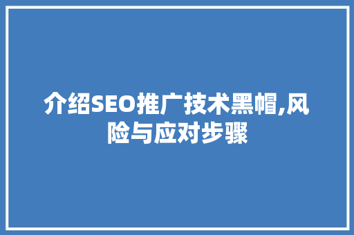 介绍SEO推广技术黑帽,风险与应对步骤